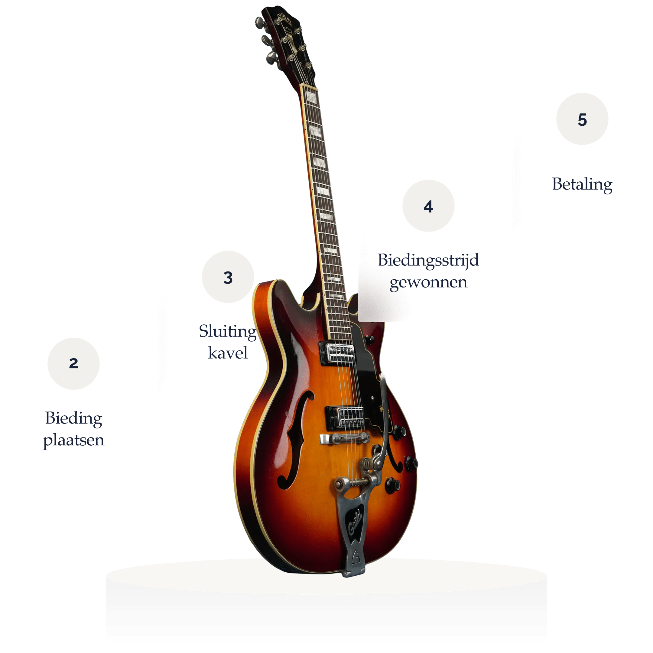 TFOA Visual 8@2x (1)