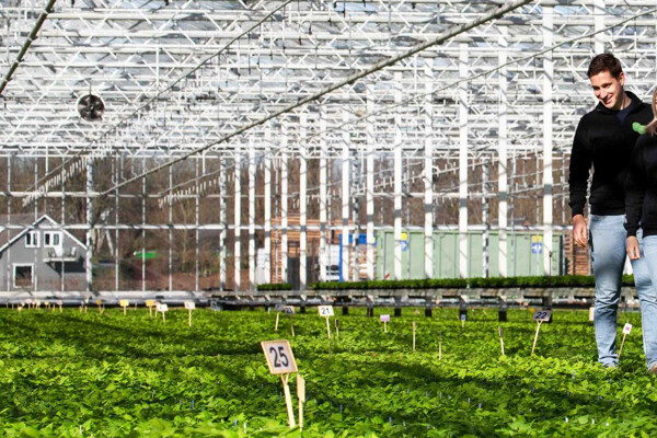 20230227ST-12_uitsnede