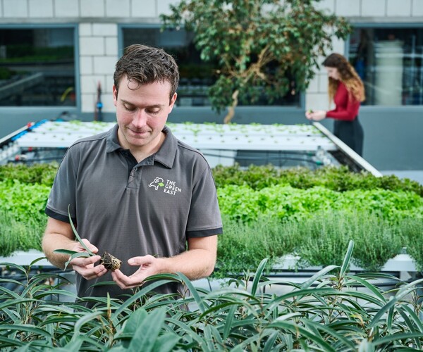 Cultivador con una planta tropica