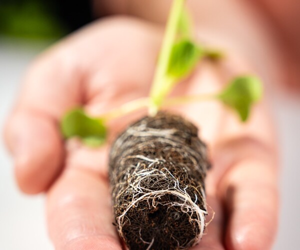 Brown Growcoon plug in hand 2