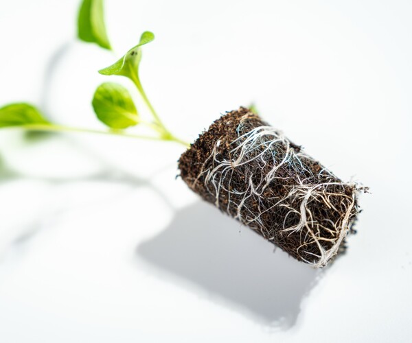 Wortelontwikkeling Growcoon bruin liggend