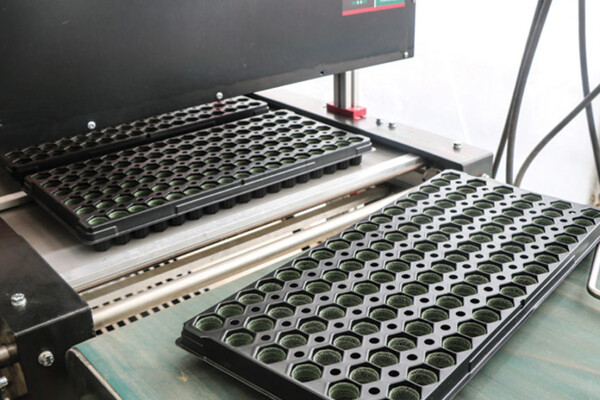 Growcoons-Dispensed-into-Trays-at-Pacific-Plug-and-Liner-864x576