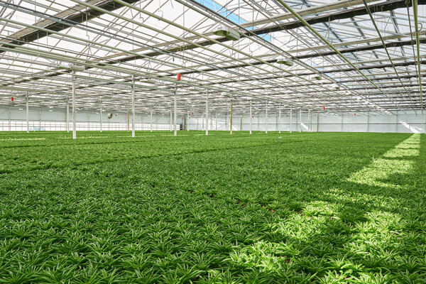 Sustainable growth (2)