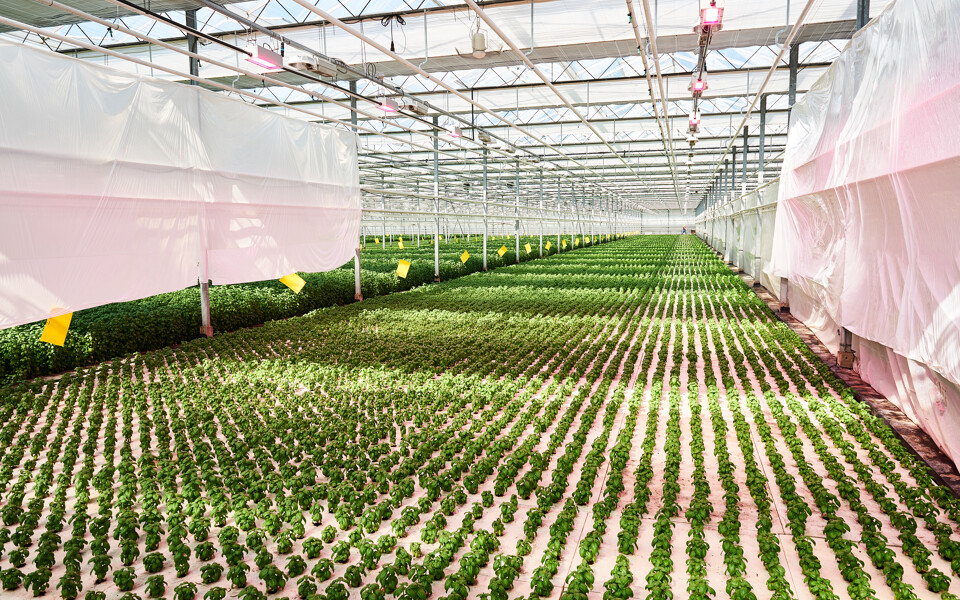 Growcoon_case_Kruidenaer_Greenhouse (4)