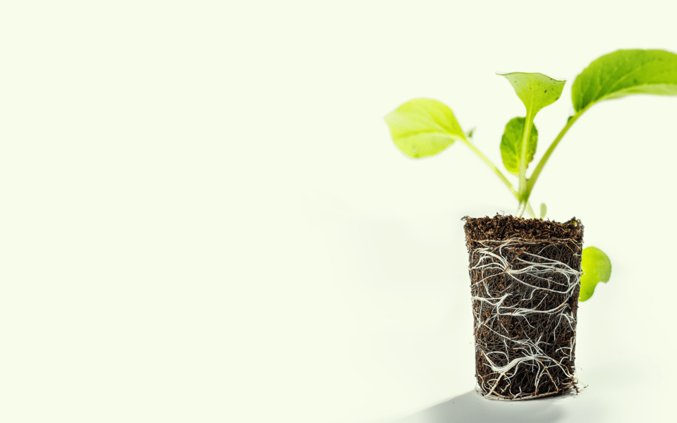 Alternative header kopie