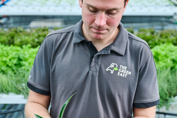 Gärtner mit Pflanze in der Hand 