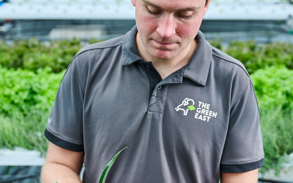 Gärtner mit Pflanze in der Hand 