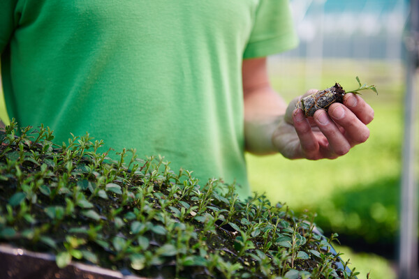 overplanten_minder uitval (3)