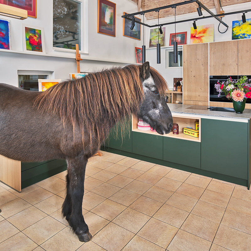 Landelijke groene keuken van Contur met matgroene fronten en fronten in licht eiken fineer. Het keukenblad is van Blue Sky graniet. Het paard van de zorgboerderij staat er speciaal voor onze fotograaf.