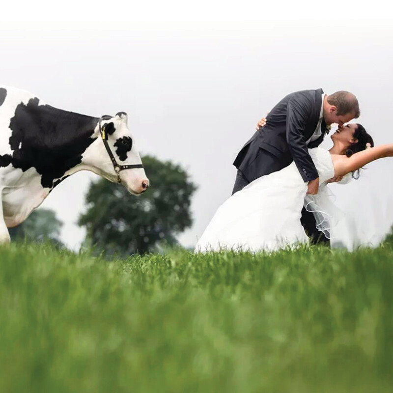 Hochzeitsmesse im Küchenland Ekelhoff in Nordhorn. Entdecken Sie alles für Ihren großen Tag.