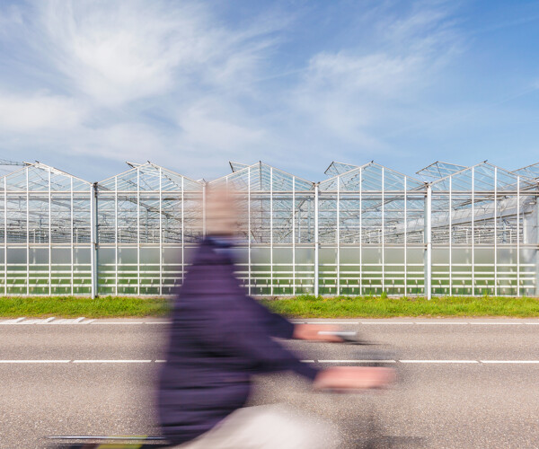 iStock-1166409082