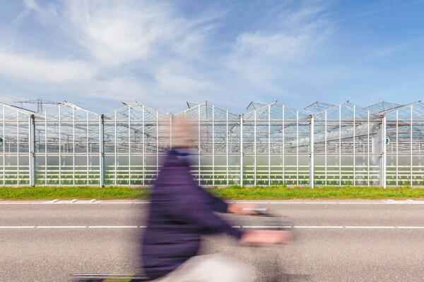iStock-1166409082