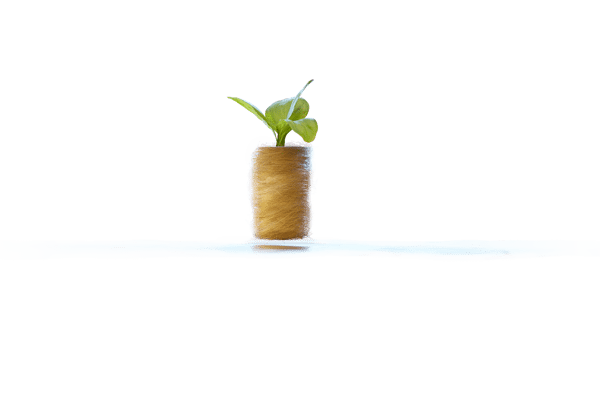 NyGaia-still-3drender-100_small